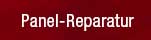 Panel reparatur