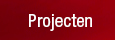 Projecten