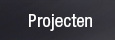 Projecten