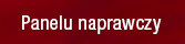 Panelu naprawczy