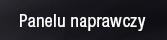 Panelu naprawczy